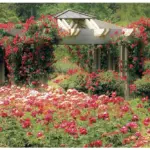 10 Cottage Garden Forever Stamps Unused Botanical Garden Stamps for Mailing