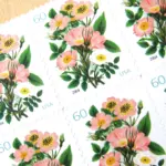 10 Vintage Botanical 60 Cent Stamps Vintage Coral Flower Bouquet Postage Stamps for Mailing Wedding Invitations