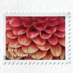 10 Burgundy Dahlia Forever Stamps Unused Flower Postage Stamps For Mailing
