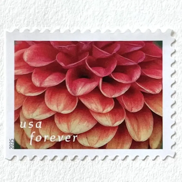 10 Burgundy Dahlia Forever Stamps Unused Flower Postage Stamps For Mailing