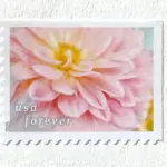 10 Wedding Flowers Forever Two Ounce $ 1.07 Postage Stamps Unused For Mailing Invitations