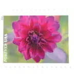 10 Wedding Flowers Forever Two Ounce $ 1.07 Postage Stamps Unused For Mailing Invitations