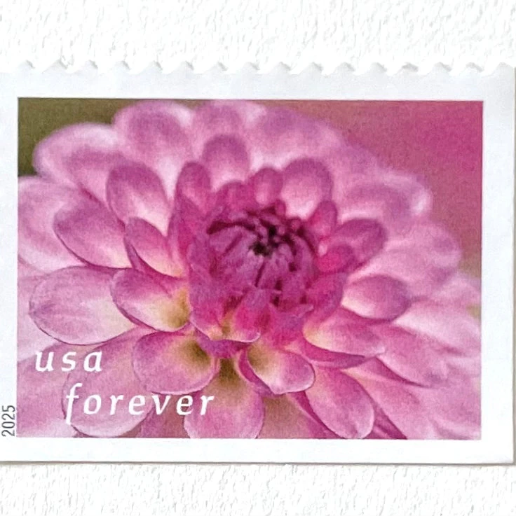 10 Lilac Pink Dahlia Forever Stamps Unused Postage for Mailing Wedding Invitations