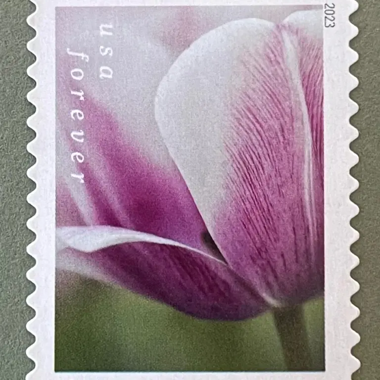 10 Lilac Pink Dahlia Forever Stamps Unused Postage for Mailing Wedding Invitations