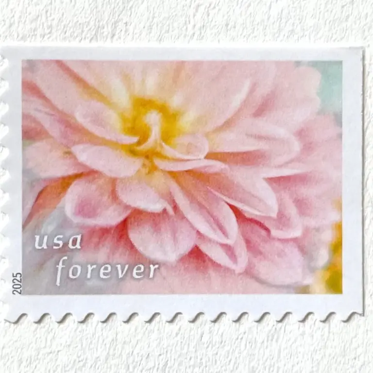 10 Pink Dahlia Forever Stamps Unused Flower Postage for Mailing Wedding Invitations