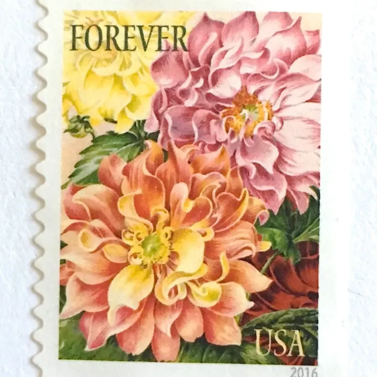 10 Pink Dahlia Forever Stamps Unused Flower Postage for Mailing Wedding Invitations