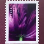 10 Tulip Forever Stamps Unused Magenta Flower Postage Stamps For Mailing