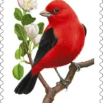 10 Red Songbird Forever Stamps for Mailing