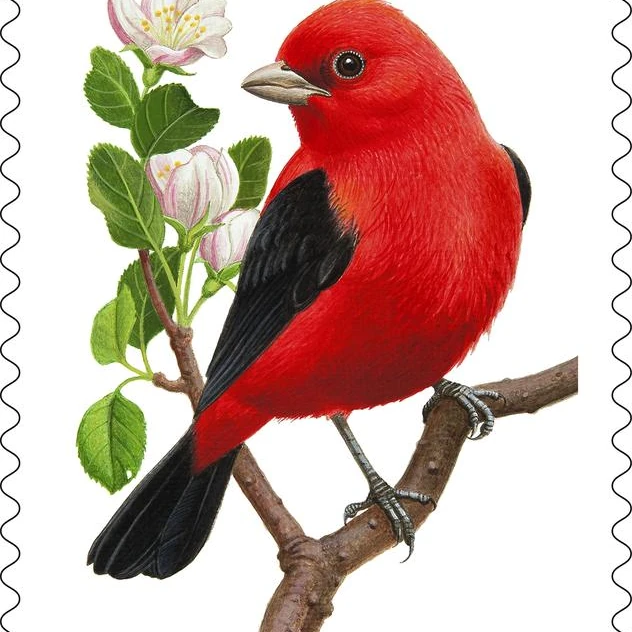 10 Red Songbird Forever Stamps for Mailing