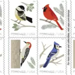 Birds in Winter Stamps