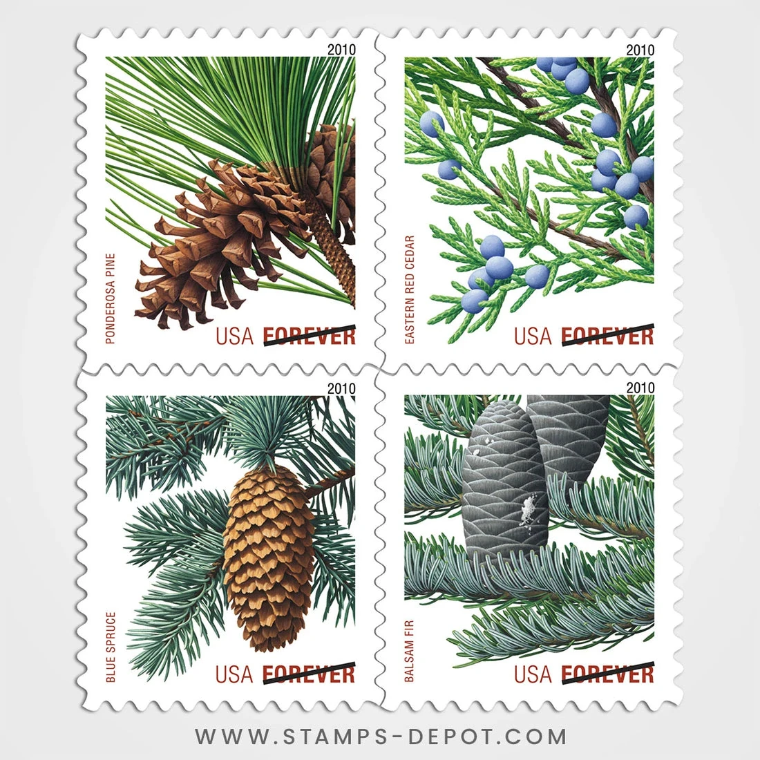 product_image_1775755513 Holiday Evergreens Stamps
