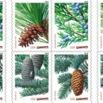 Holiday Evergreens Stamps