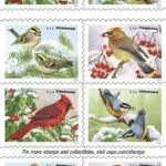 Songbirds in Snow Stamps